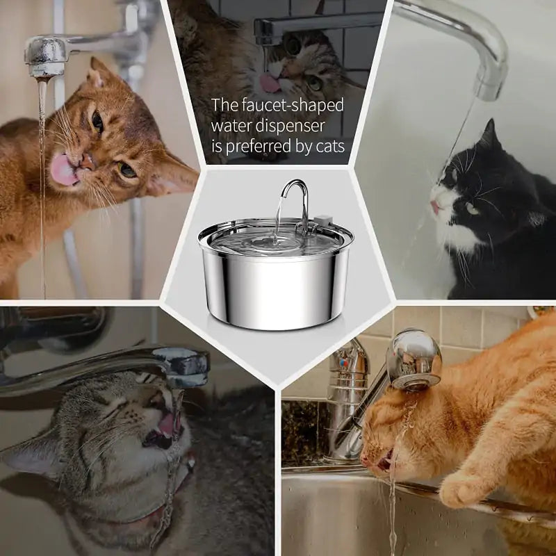 Automatic Pet Drinking Fountain